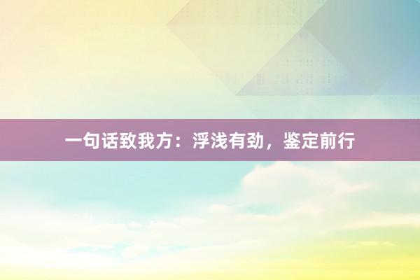 一句话致我方：浮浅有劲，鉴定前行