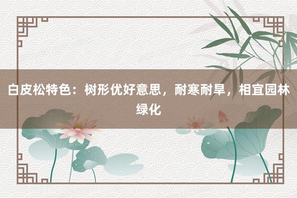 白皮松特色：树形优好意思，耐寒耐旱，相宜园林绿化