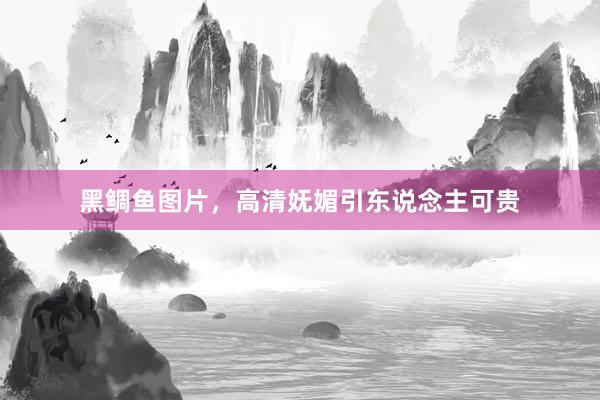 黑鲷鱼图片，高清妩媚引东说念主可贵